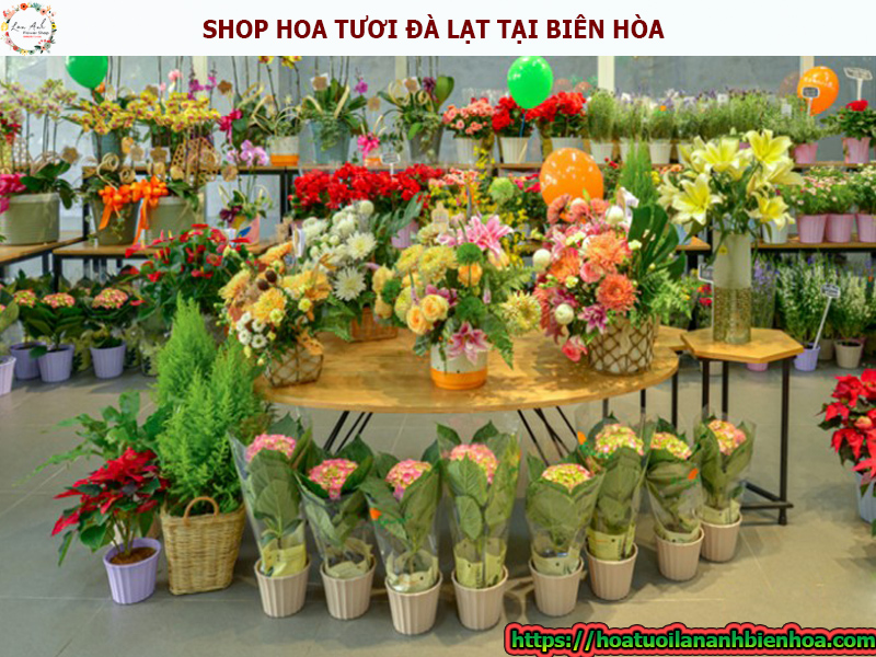 shop-hoa-tuoi-da-lat-tai-phuong-tam-hiep-thanh-pho-bien-hoa-dong-nai