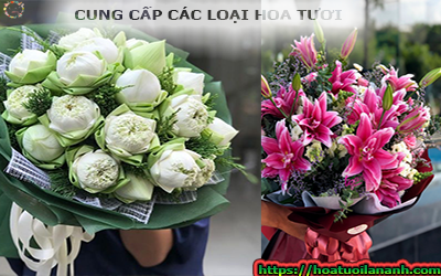 CUNG CẤP CÁC LOẠI HOA TƯƠI THEO YÊU CẦU TẠI BIÊN HÒA