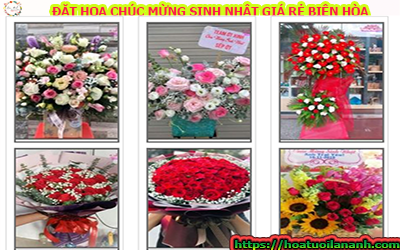 ĐẶT HOA CHÚC MỪNG SINH NHẬT GIÁ RẺ