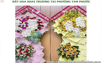 ĐẶT HOA KHAI TRƯƠNG GIÁ RẺ TẠI PHƯỜNG AN HÒA