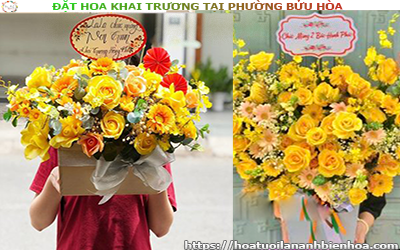 ĐẶT HOA KHAI TRƯƠNG GIÁ RẺ TẠI PHƯỜNG BỬU HÒA