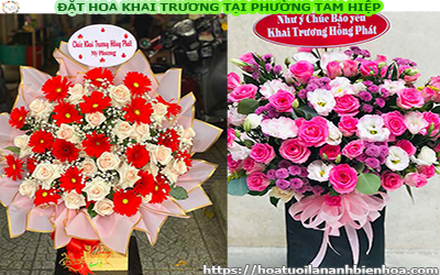 ĐẶT HOA KHAI TRƯƠNG GIÁ RẺ TẠI PHƯỜNG TAM HIỆP