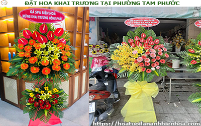 ĐẶT HOA KHAI TRƯƠNG GIÁ RẺ TẠI PHƯỜNG TAM PHƯỚC