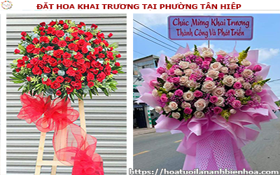 ĐẶT HOA KHAI TRƯƠNG GIÁ RẺ TẠI PHƯỜNG TÂN HIỆP