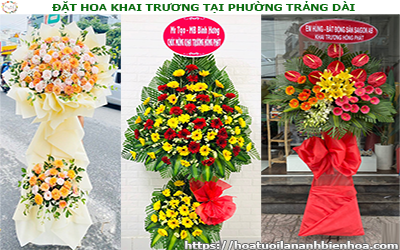 ĐẶT HOA KHAI TRƯƠNG GIÁ RẺ TẠI PHƯỜNG TRẢNG DÀI