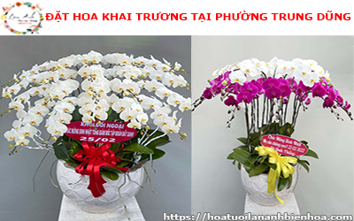 ĐẶT HOA KHAI TRƯƠNG GIÁ RẺ TẠI PHƯỜNG TRUNG DŨNG