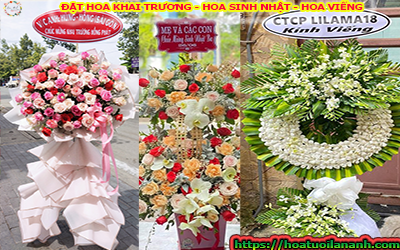 ĐẶT HOA MỪNG KHAI TRƯƠNG - MỪNG SINH NHẬT - HOA VIẾNG TẠI BÀ RỊA VŨNG TÀU