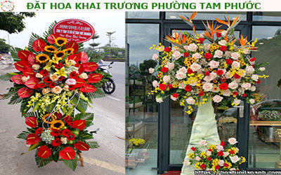 ĐẶT HOA KHAI TRƯƠNG GIÁ RẺ PHƯỜNG TAM PHƯỚC