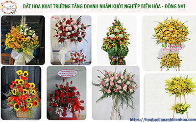 ĐẶT HOA KHAI TRƯƠNG TẶNG DOANH NHÂN KHỞI NGHIỆP BIÊN HÒA - ĐỒNG NAI 