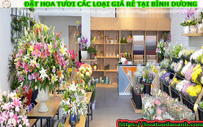 ĐẶT HOA TƯƠI CÁC LOẠI GIÁ RẺ TẠI BÌNH DƯƠNG