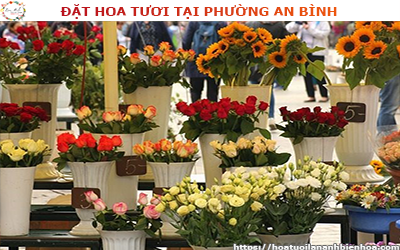 ĐẶT HOA TƯƠI GIÁ RẺ TẠI PHƯỜNG AN BÌNH