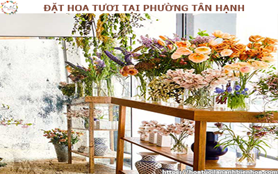 ĐẶT HOA TƯƠI GIÁ RẺ TẠI PHƯỜNG TÂN HẠNH