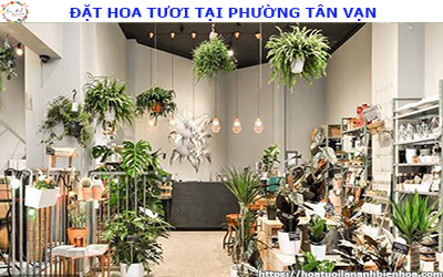 ĐẶT HOA TƯƠI GIÁ RẺ TẠI PHƯỜNG TÂN VẠN