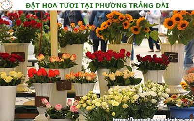 ĐẶT HOA TƯƠI GIÁ RẺ TẠI PHƯỜNG TRẢNG DÀI