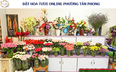 ĐẶT HOA TƯƠI ONLINE PHƯỜNG TÂN PHONG