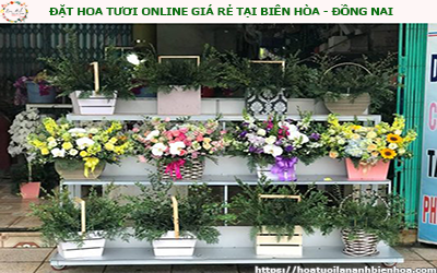 ĐẶT HOA TƯƠI ONLINE GIÁ RẺ TẠI BIÊN HÒA - ĐỒNG NAI