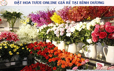 ĐẶT HOA TƯƠI ONLINE GIÁ RẺ TẠI BÌNH DƯƠNG