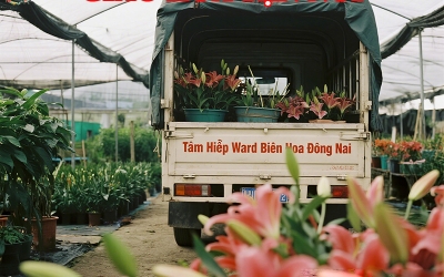 GIAO HOA TẬN NƠI TẠI LONG THÀNH & NHƠN TRẠCH