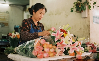 GIAO HOA TẬN NƠI TẠI TAM HIỆP