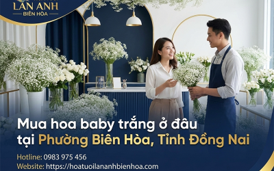 Mua hoa baby trắng ở đâu tại Phường Biên Hòa