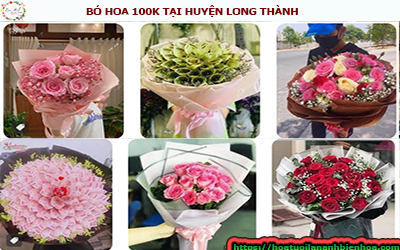 NHỮNG BÓ HOA TƯƠI 100K TẠI LONG THÀNH