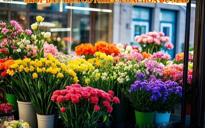 SHOP BÁN HOA CÓ NHIỀU LOẠI HOA ĐỦ MÀU UY TÍN NHẤT TẠI BIÊN HÒA