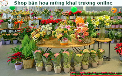 Shop bán hoa mừng khai trương online 