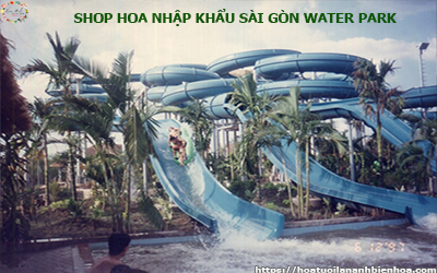 SHOP HOA TƯƠI NHẬP KHẨU GIÁ RẺ TẠI SÀI GÒN WATER PARK (TPHCM)