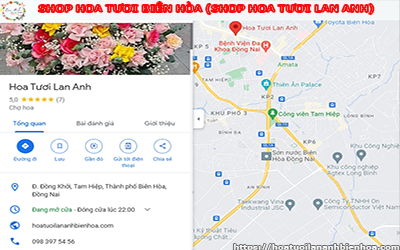 SHOP HOA TƯƠI BIÊN HÒA (SHOP HOA TƯƠI LAN ANH)