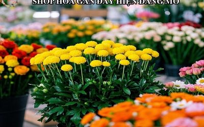 SHOP HOA GẦN ĐÂY HIỆN ĐANG MỞ TẠI BIÊN HÒA