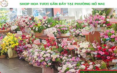 SHOP HOA TƯƠI GẦN ĐÂY PHƯỜNG HỐ NAI