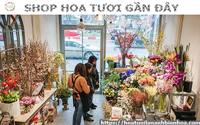 SHOP HOA TƯƠI GẦN ĐÂY PHƯỜNG TAM PHƯỚC