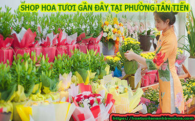 SHOP HOA TƯƠI GẦN ĐÂY PHƯỜNG TÂN TIẾN