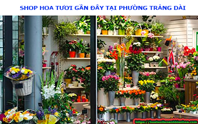 SHOP HOA TƯƠI GẦN ĐÂY TẠI PHƯỜNG TRẢNG DÀI 