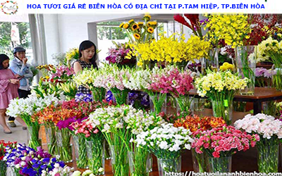 HOA TƯƠI GIÁ RE BIÊN HÒA CÓ ĐỊA CHỈ TẠI P. TAM HIỆP, TP.BIÊN HÒA