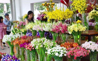 SHOP HOA TƯƠI GẦN ĐÂY GIÁ RẺ TẠI ĐỒNG NAI 1 