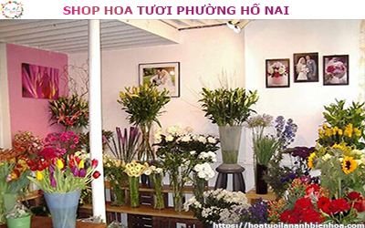 SHOP HOA TƯƠI GIÁ RẺ TẠI PHƯỜNG HỐ NAI