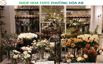 SHOP HOA TƯƠI GIÁ RẺ TẠI PHƯỜNG HÓA AN