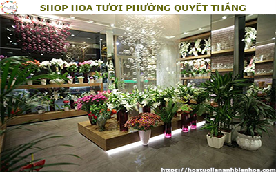 SHOP HOA TƯƠI GIÁ RẺ TẠI PHƯỜNG QUYẾT THẮNG