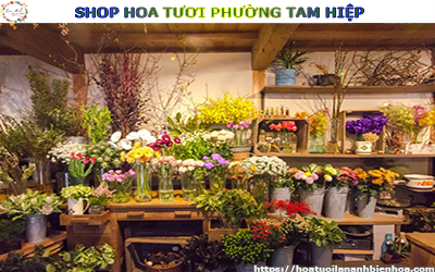 SHOP HOA TƯƠI GIÁ RẺ TẠI PHƯỜNG TAM HIỆP