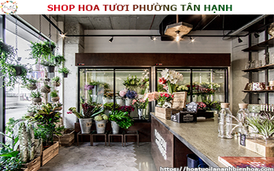 SHOP HOA TƯƠI GIÁ RẺ TẠI PHƯỜNG TÂN HẠNH