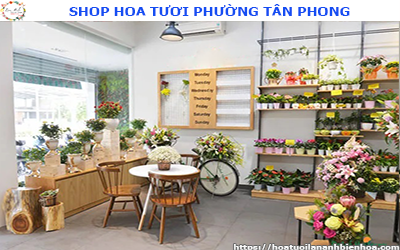 SHOP HOA TƯƠI GIÁ RẺ TẠI PHƯỜNG TÂN PHONG