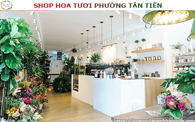 SHOP HOA TƯƠI GIÁ RẺ TẠI PHƯỜNG TÂN TIẾN