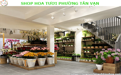 SHOP HOA TƯƠI GIÁ RẺ TẠI PHƯỜNG TÂN VẠN