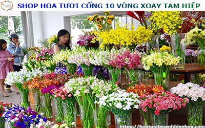 SHOP HOA TƯƠI GIÁ RẺ TẠI CỔNG 10 VÒNG XOAY TAM HIỆP