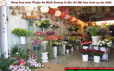 Shop hoa tươi Thuận An Bình Dương là địa chỉ đặt hoa tươi uy tín nhất 