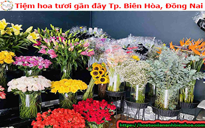 Tiệm hoa tươi gần đây Tp. Biên Hòa, Đồng Nai 