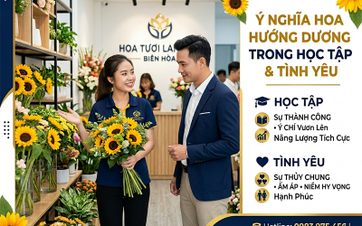 Ý nghĩa hoa hướng dương trong học tập và tình yêu như thế nào?