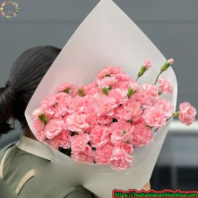 Bó Hoa Cẩm Chướng Hồng Nhí Xinh FFB-LA19