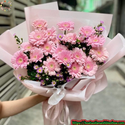 Bó Hoa Đồng Tiền Hồng Nhạt